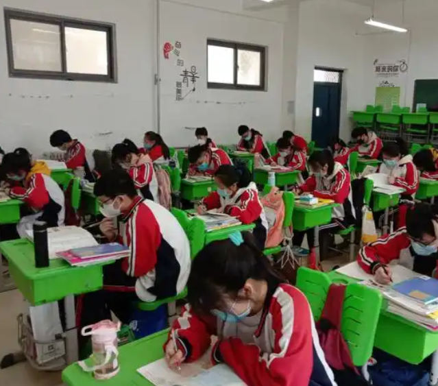 真正的对症下药不是在起点上按成果分班而是在多元的班级生态中 真正的对症下药不是在起点上按成果分班而是在多元的班级生态中